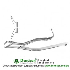 American Pattern Tooth Extracting Forcep (Child) Fig. 16S (For Lower Molars) Stainless Steel, Standard